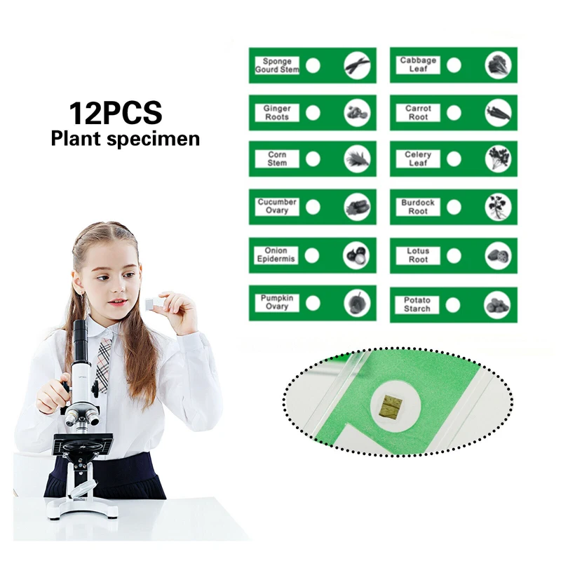 Kids Plastic Prepared Microscope Slides Animals Insects Plants Specimens Slides for Kids Students