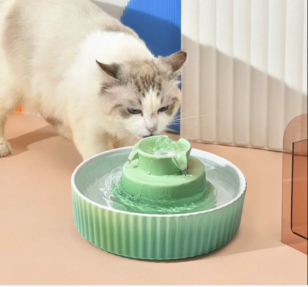 Advanced Porcelain Pet Fountain Super Quiet Drinking Fountains for Puppy and Kittens Indoor with Replacement Filters and Foam