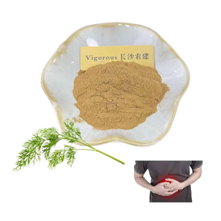 High Quality Free Sample  For Health 12:1 Dill Weed Extract Anethum Graveolens Herb Extract Powder