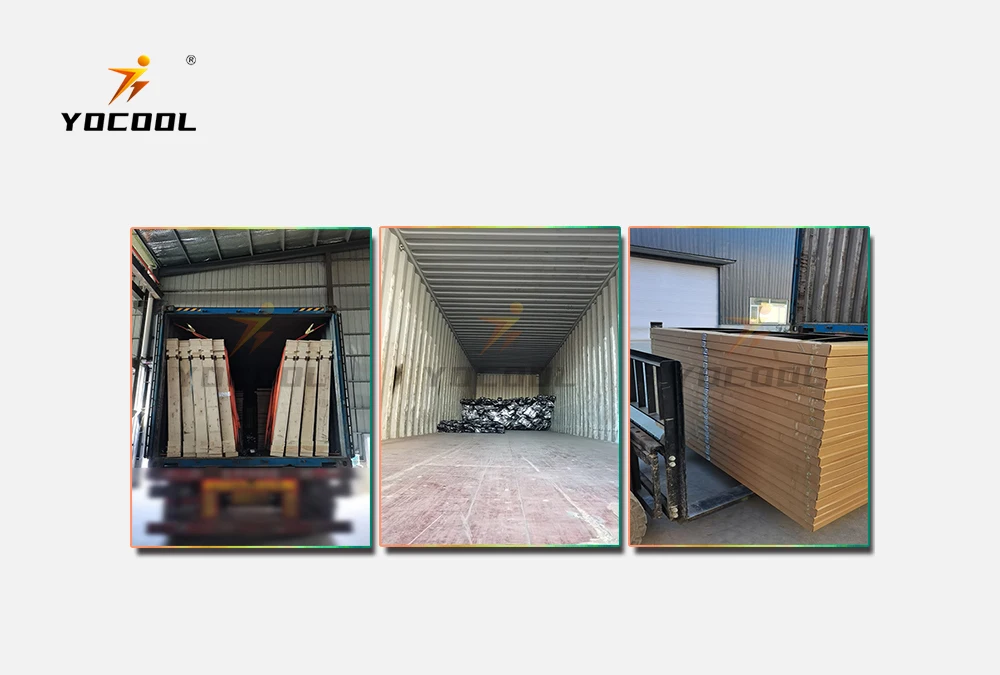 Full Panoramic Padbol Padel Sport Courts / Portable Padel Tennis Courts/Safety Outdoor