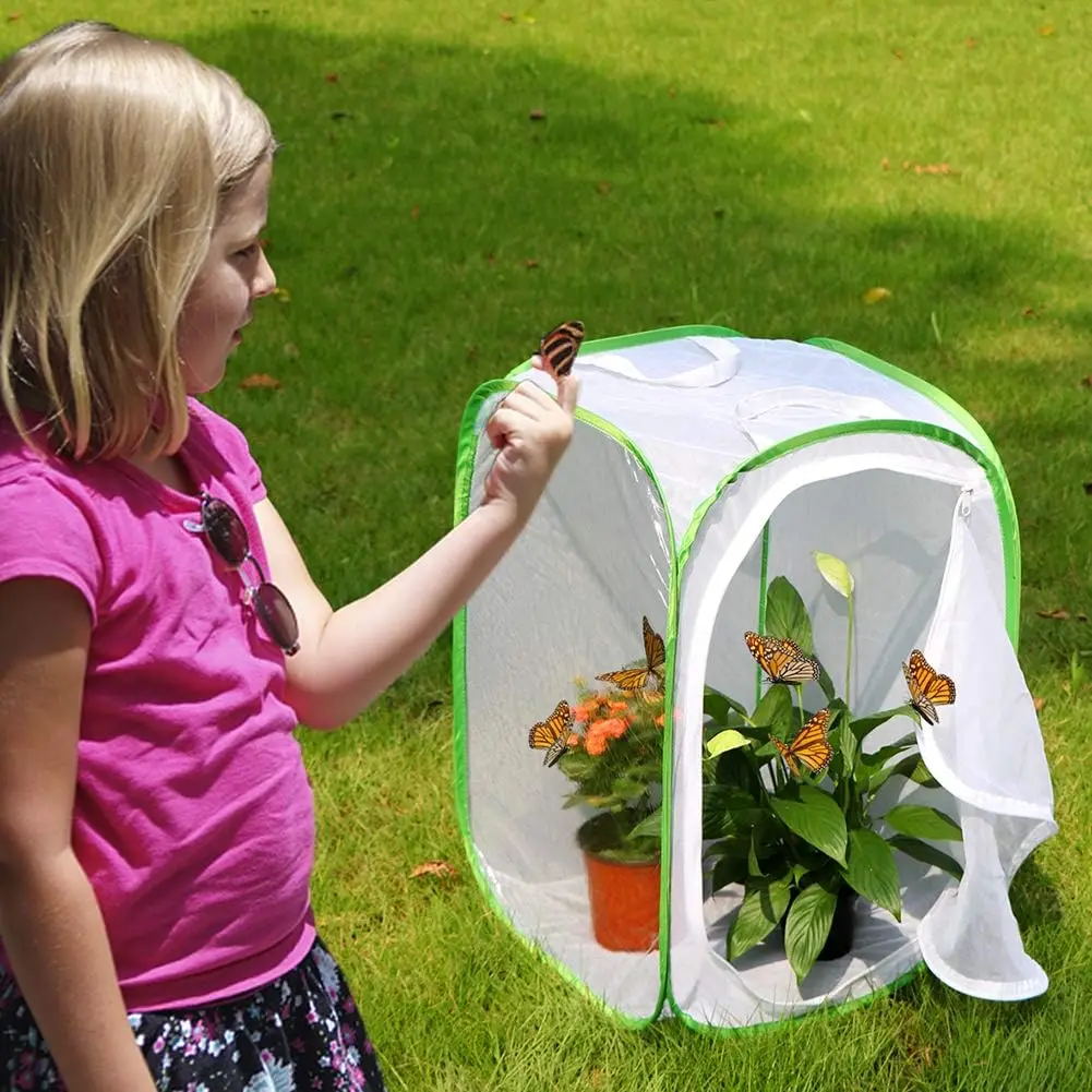 OF Green Habitat Cages Collapsible Butterfly Net House Pop-up Insect Breeding Rearing Mesh Cage  Growing kit for kids