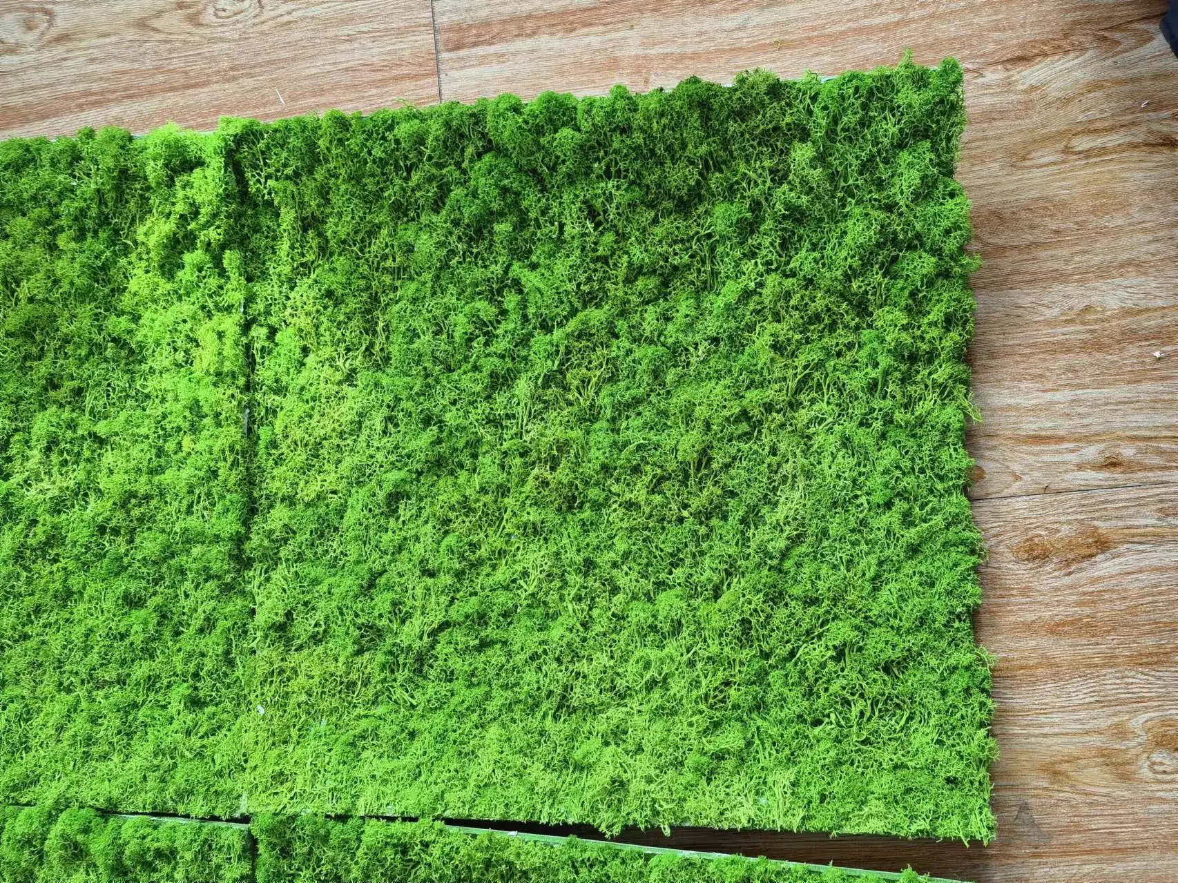 2021 New Christmas product preserved moss panel preserved moss lawn does not lose dust wholesale