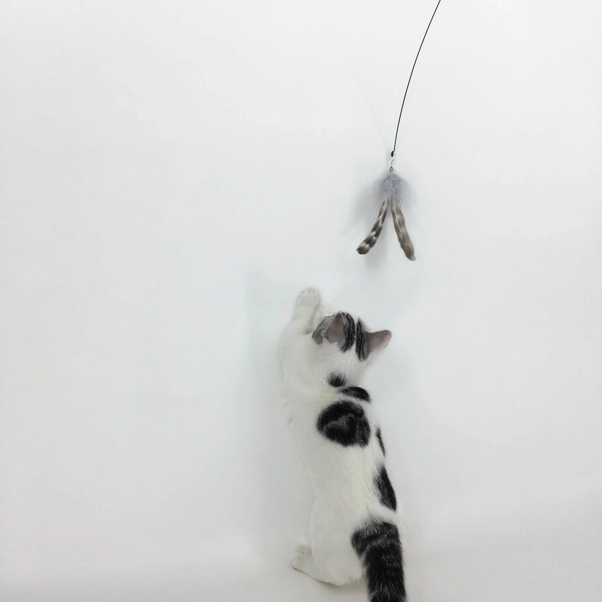 Replaceable Head Design Suction Cup Cat Toy Interactive Feather Cat Teaser Wand Stick With Bells