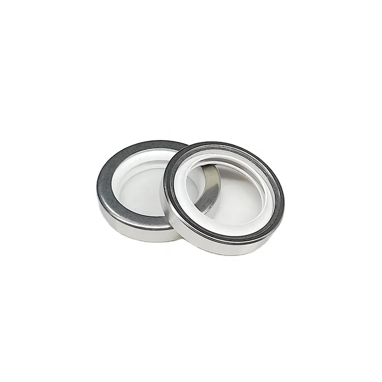 DLSEALS Coating Lip Rotary Shaft PTFE Lip white ss304 ss316 Oil Seal Stainless Steel compressor Oil Seal PTFE Oil Seal