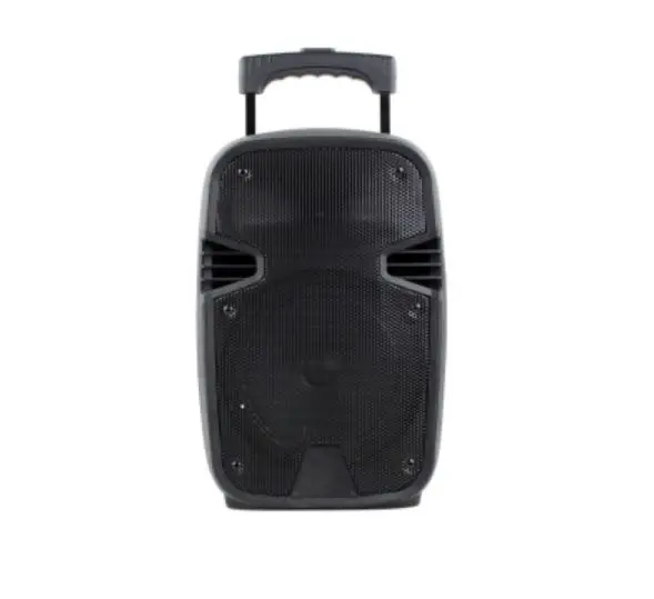 Temeisheng A8-8 100V to 240V 6 buttons LCD display karaoke 90W peak output power oem portable trolley outside speaker