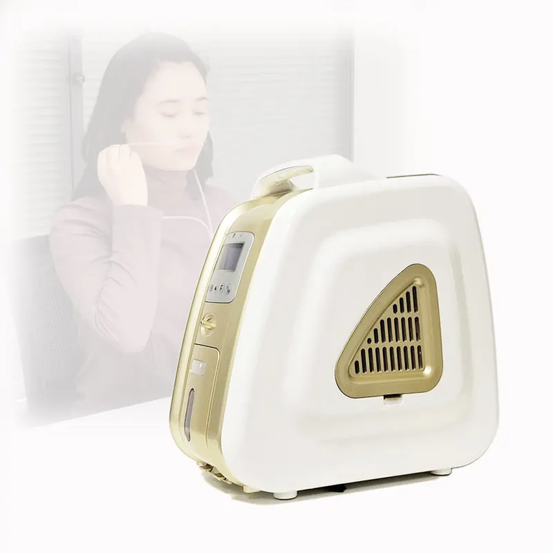 Most competitive small size light 3l portable oxygen machine