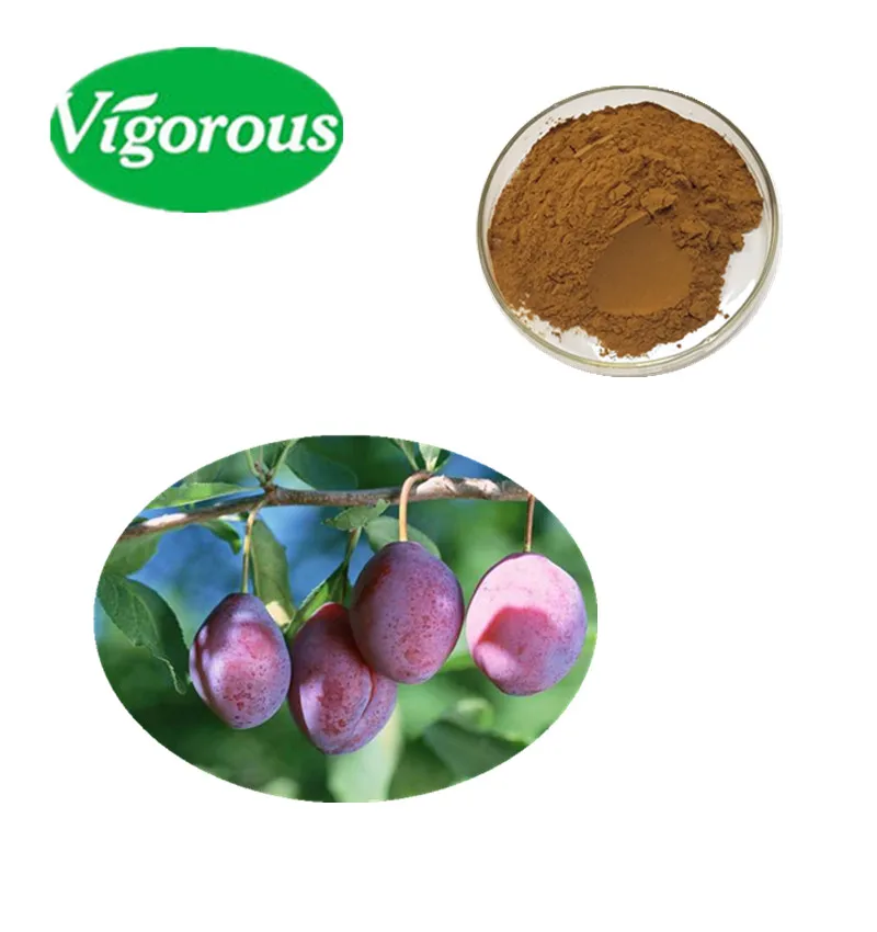 Высокое качество органический prunus domestica 100% чистый экстракт сливы
