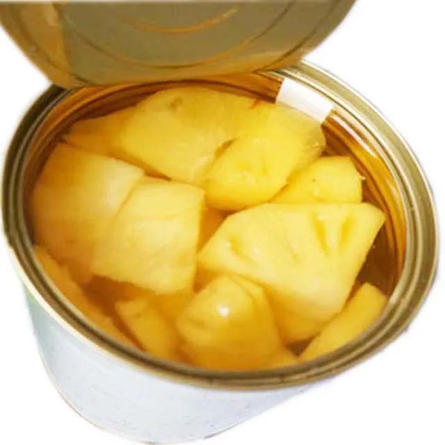 Canned Pineapple slice dried pineapple 567g