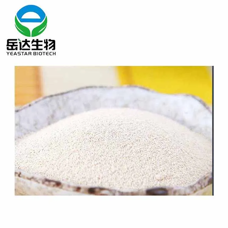 
Factory Supply High Quality 450g And 500g Pakmaya Instant Dry Yeast In Turkey 