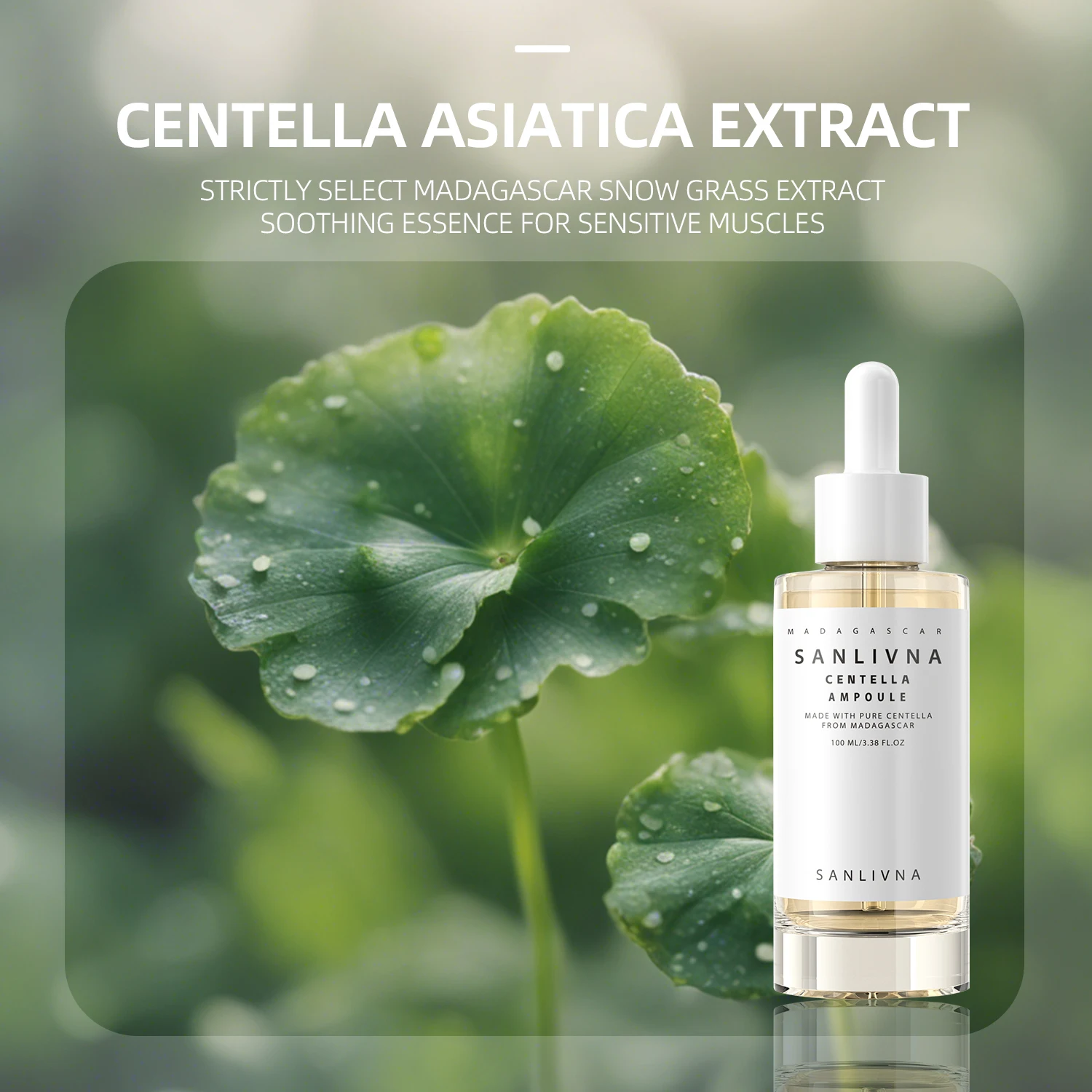 Centella Asiatica Skin Care Asiatica Extract Moisturising Calming and Hydrating and Soothing Acne Repair Care Brightening