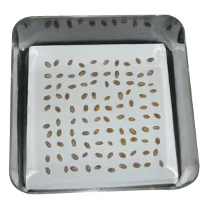Plastic Seedling Germination Nursery Box Seedling Starter Germination Trays With Lid Cover