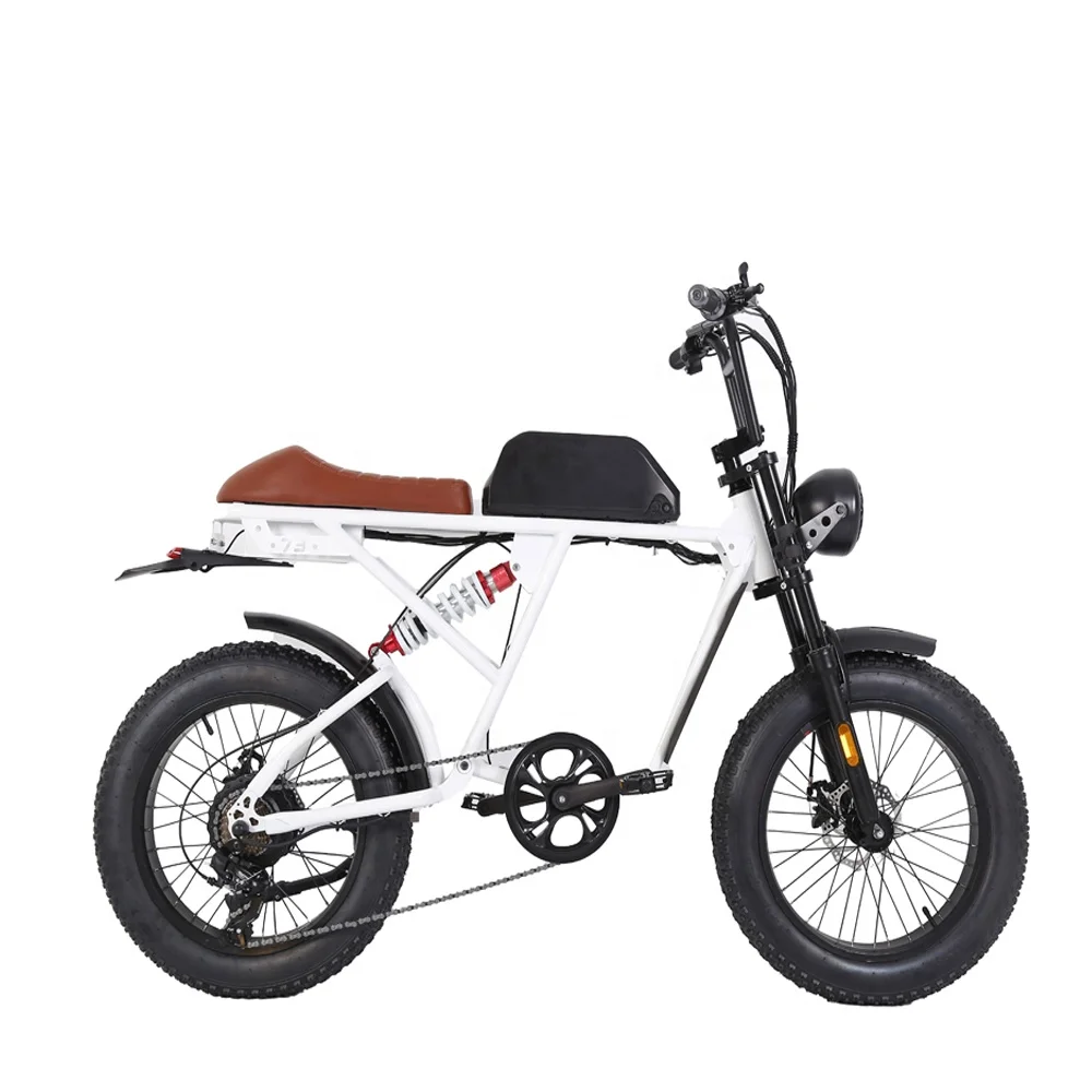 2022 Most Popular 20Inch Chinese Road Long Range Fat Tire Folding Mountain City Dirt Electric Bike