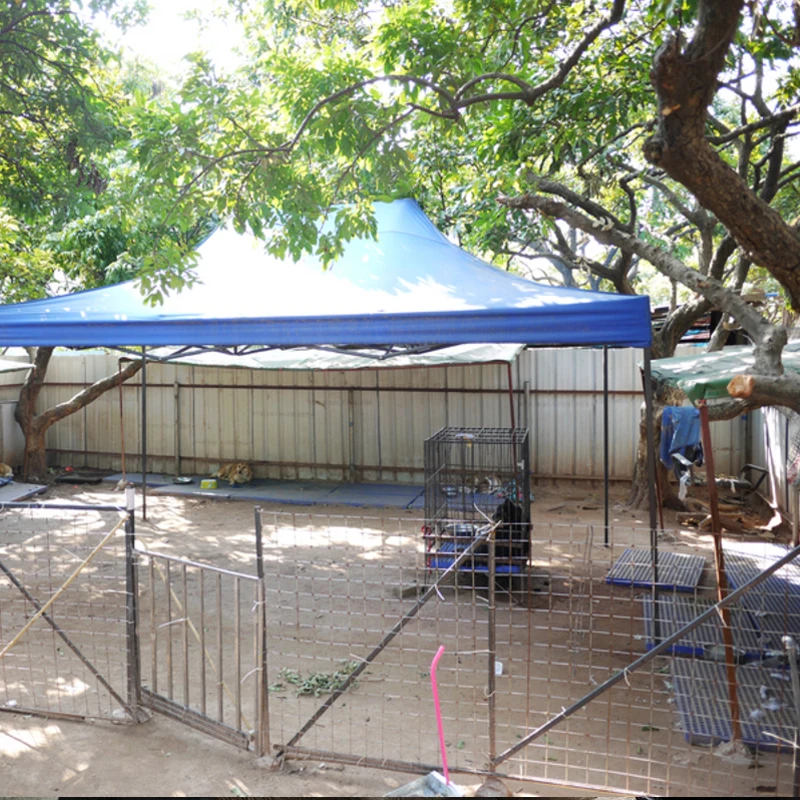 Top Selling Free samples stray cat food Manufacturer high-quality best-selling lowest price dry cat food