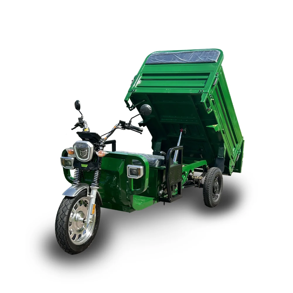 3 Wheels Cargo Electric Scooter Road Approved Ultra Robust 3000W/ 45ah Electric Tricycle