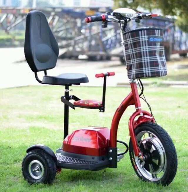 zappy tricycle_1.jpg