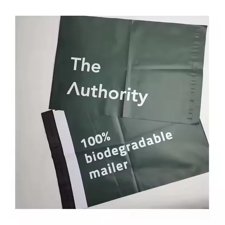 Wholesale Custom Packaging Printed Logo Self Sealing Shirt Clothes Zip Lock Clear Ziplock Plastic Zipper Frosted Clothing Bags