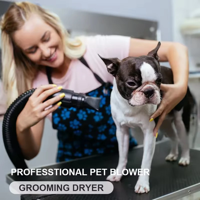 High Power Pet Hair Dryer Dog Grooming Dryer Heating Adjustable Speed Nozzles Pet Dog Hair Dryer Machine