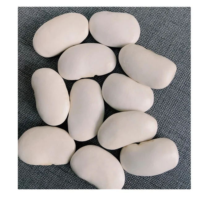 
Yunnan white beans for Canned white beans pastel navy large white kidney beans 