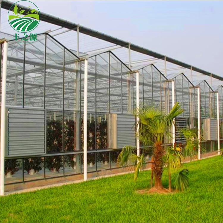 The Cheapest Hot Sale Agricultural Glass Greenhouse Green House For Vegetables