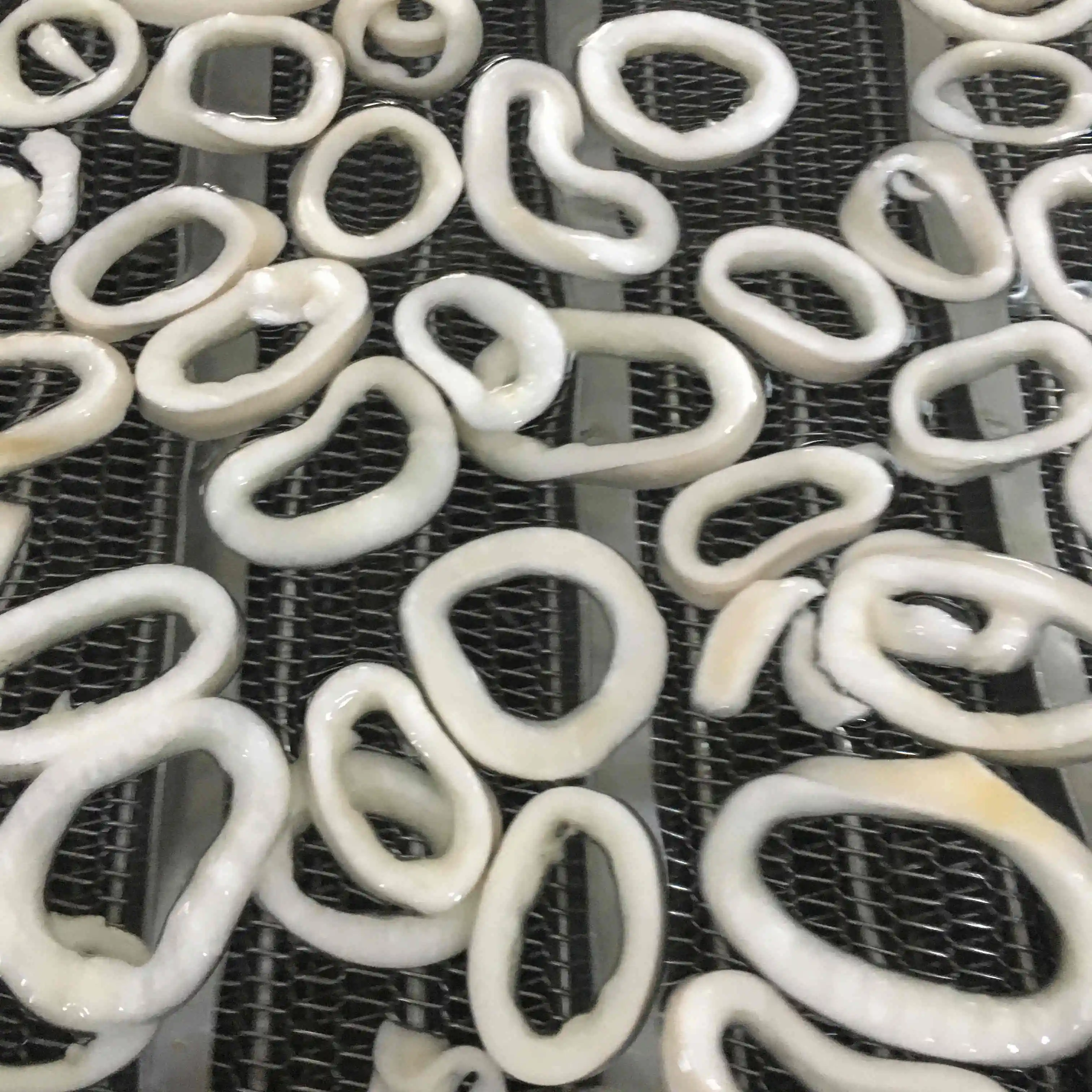 Frozen boiled indian ocean squid  ring with yellow spot off