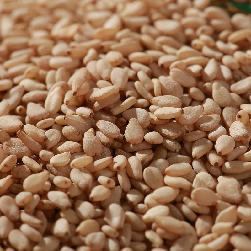 Pure Hulled Sesame Seeds 100% Natural Clean Natural white sesame for export