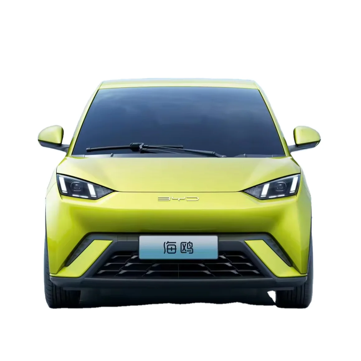 Byd Car Price Adults EV Byd Seagull 2023 Free Edition Made in China Solar Electric Car