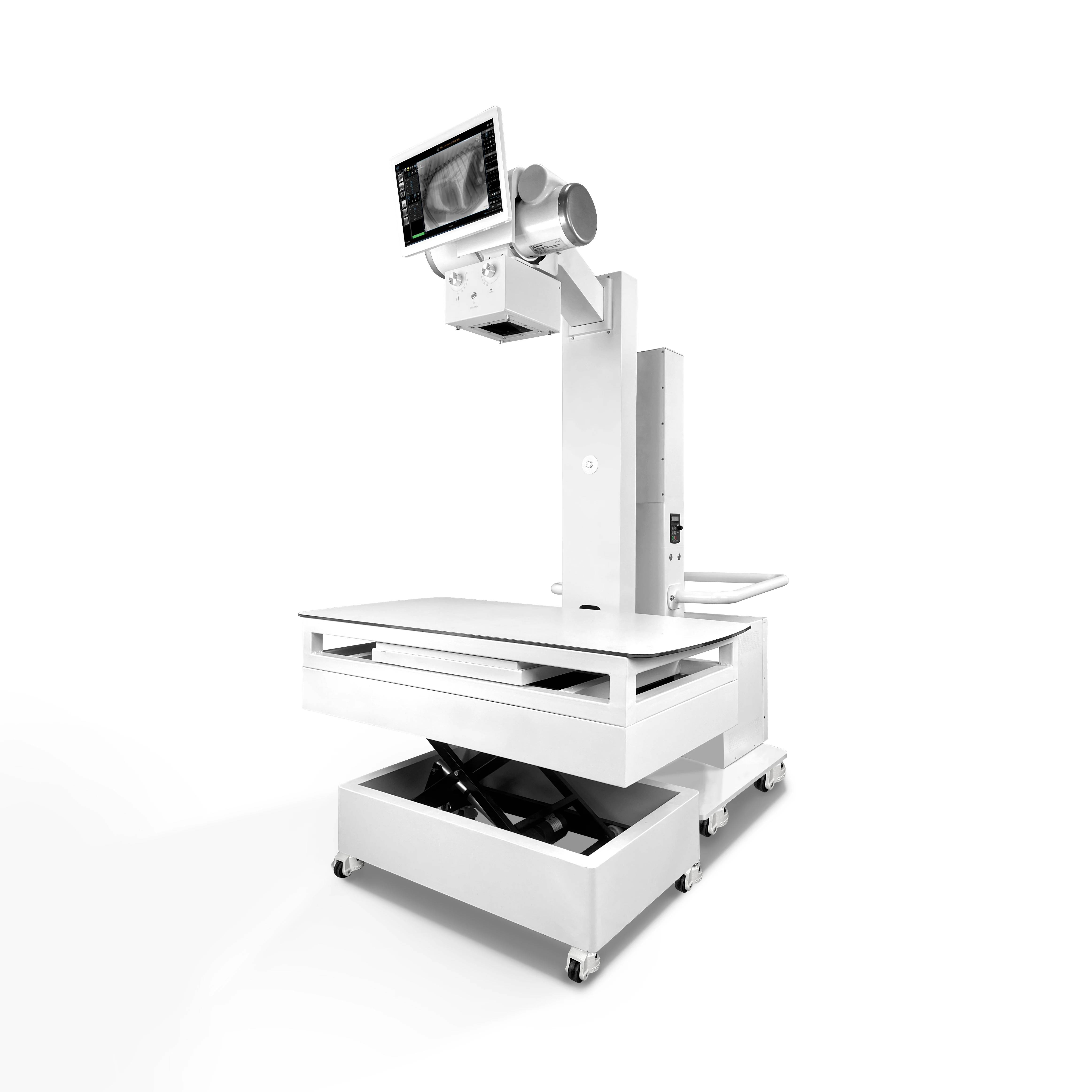 Dynamic AI Veterinary X-Ray Machine Floor-Mounted Radiology Imaging Equipment with Movable Diagnosis Table and DR Box