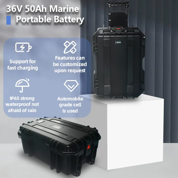 Customized 12V 24V 36V 48V 50Ah 100Ah 150Ah Deep Cycle  Lithium Battery Carrying Suitcase LiFePO4 Battery for Marine Boat Motor