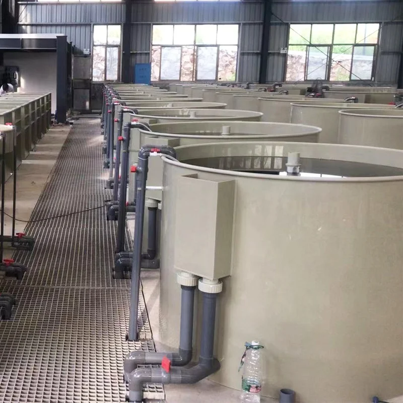 Circular Fish Farm with Tanks  for Commercial Fish Farm  ras system equipment customize indoor ras fish farming