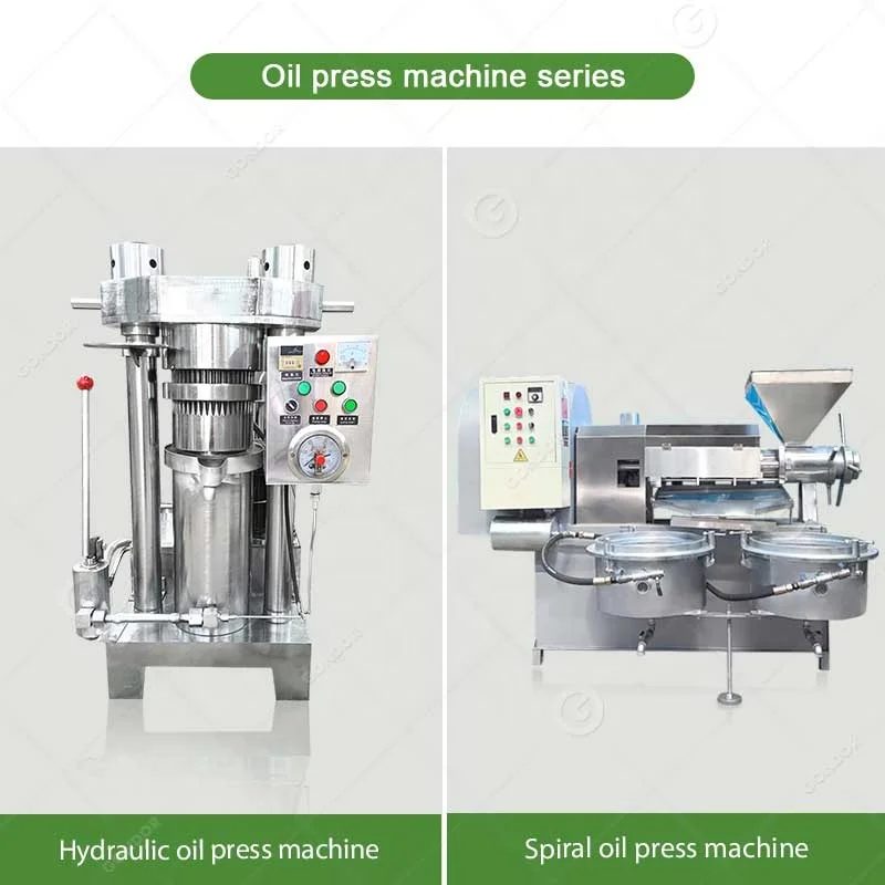 Manufacture Avocado Shea Nut Extraction Cooking Nuts Oil Extractor Cold Press Shea Butter Machine Dubai