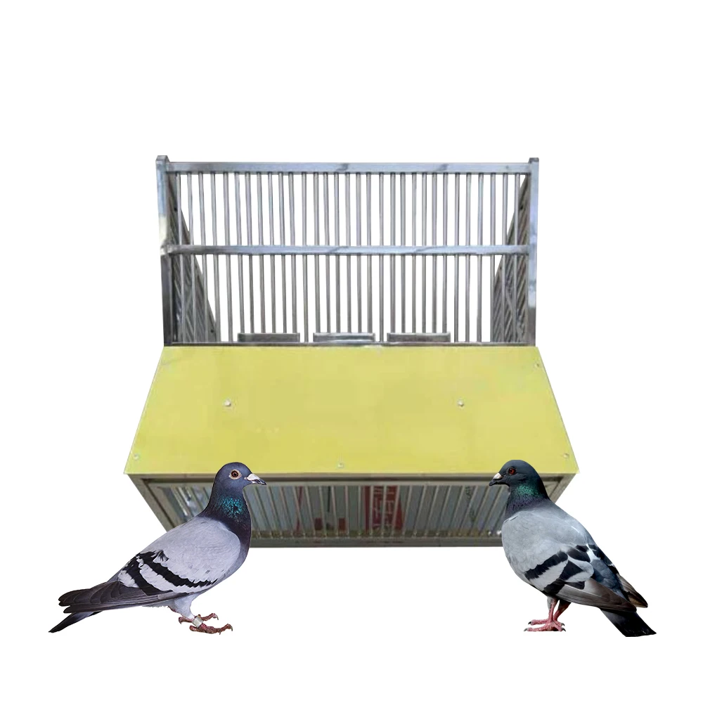New design bird cage cheap fancy stainless steel foldable metal jump pigeon cage for outdoor