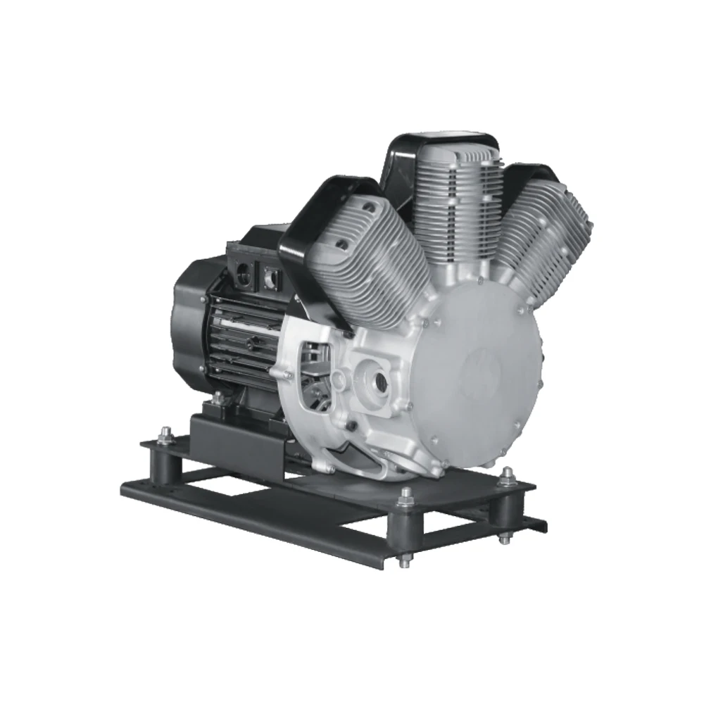 Hot Sale Silent Compressor Less Air Compressor Electric Motors 2.2Kw 4Kw 3Hp 5.4Hp Piston Oil Free Air Compressor Pump