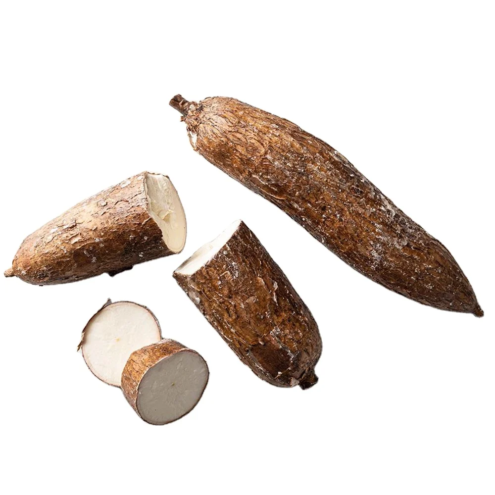 Raw dry Cassava (Starch) with Fast delivery service & Competitive price Best Cassava in Vietnam WholesaleCheapfreshCassava