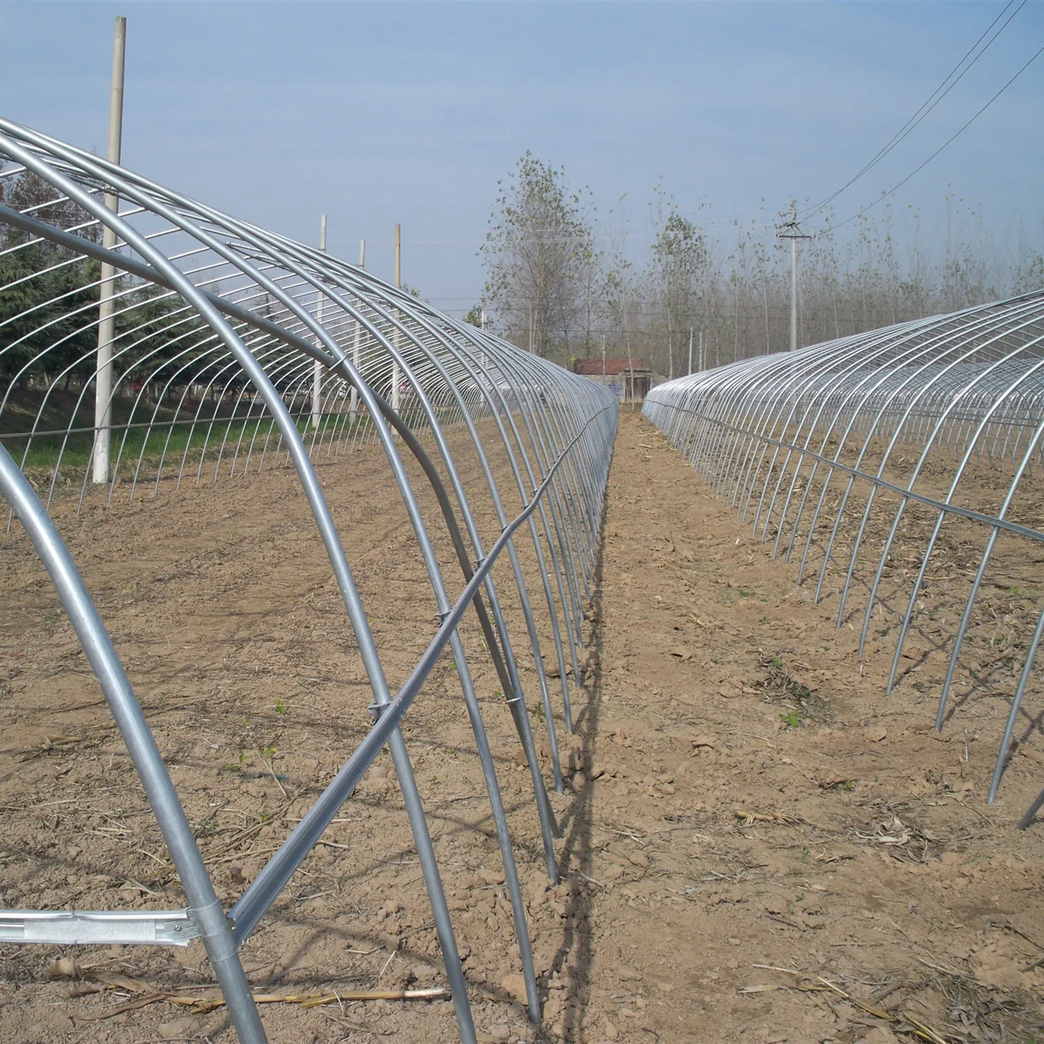 Low Cost Mini Tunnel Greenhouse for Tomato/Cucumber/Seed Breeding for Sale