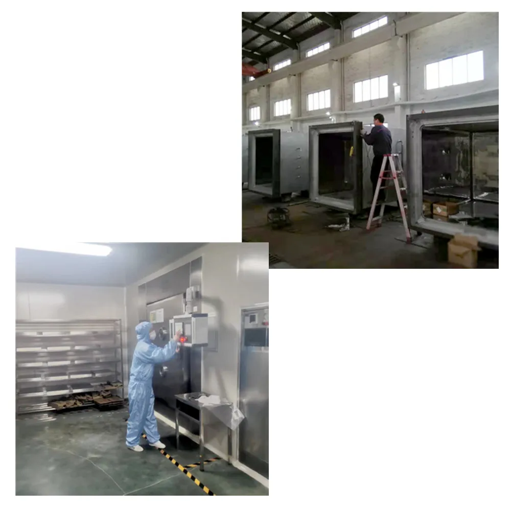 
2020 High Quality Best Selling Hot Air Drying Oven For Meat Fish Fruit 