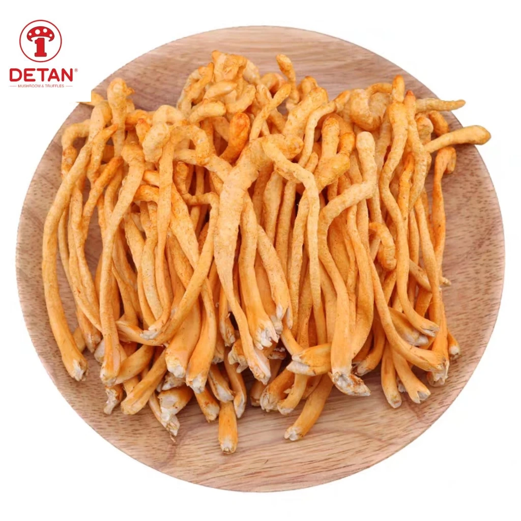 Nutrient-rich Sold all year round fresh organic Cordyceps Flowers And Dried Cordyceps