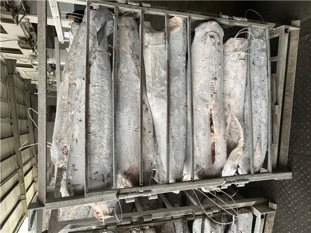 Seafrozen Quality Swordfish 30KG up Price Frozen HGT Swordfish