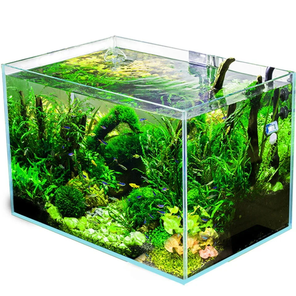 Large or small fashionable glass aquarium for office and home