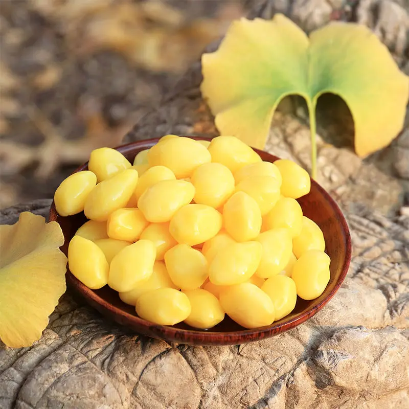 Best Grade Quality Ginkgo Nuts