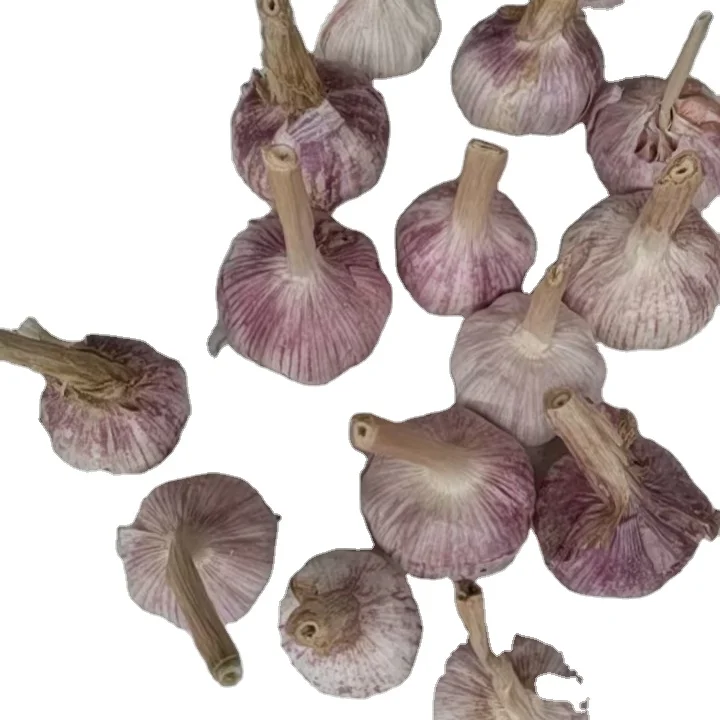 Factory direct garlic cheap new garlic Chinese garlic