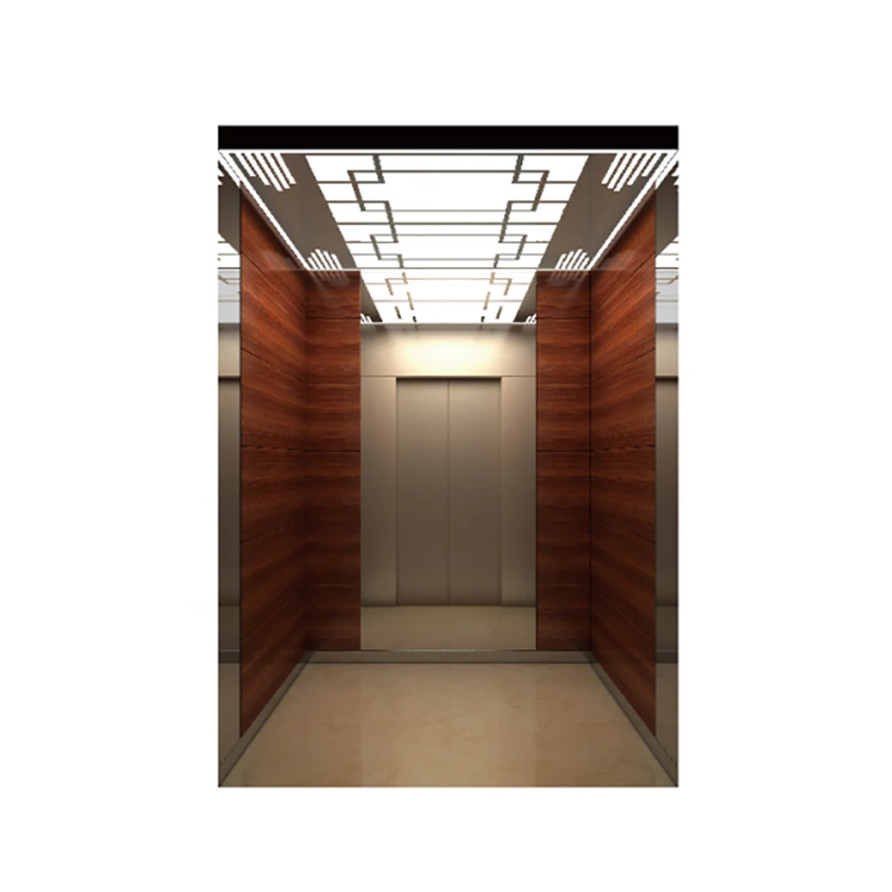 New Panoramic Glass Cabin Lifter Elevator AC Drive Type for Passenger Elevator for Sightseeing Applications CE Certified