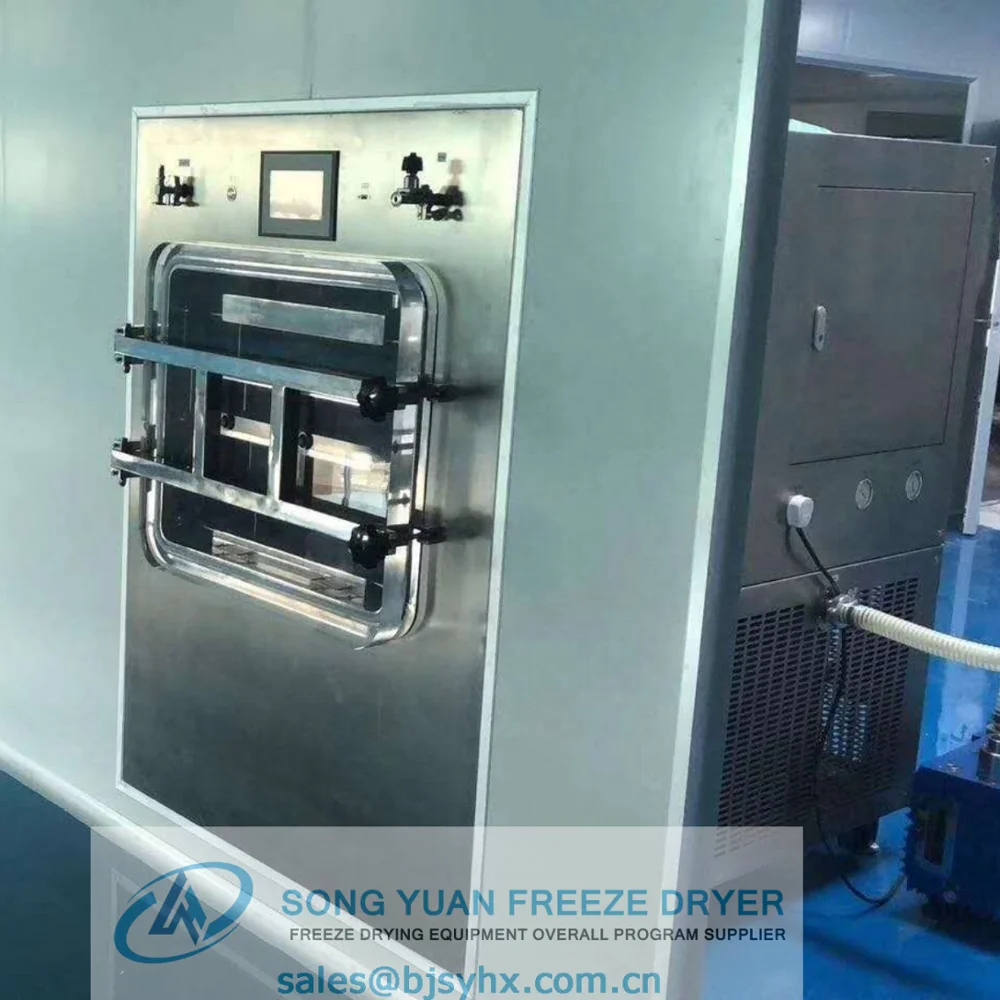 
freeze dryer china silicone oil heating suitable for fruit food medical/in-situ LGJ-100F GMP 