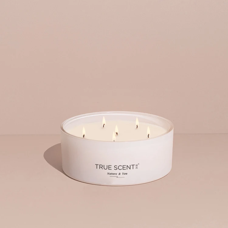 True Scent wholesale private label luxury custom soy scented candles making supplies fragrance candle 3 wick candles scented