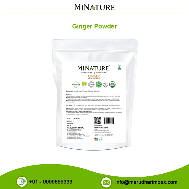 Wholesale Price Bulk Selling Ginger Extract Herbal Powder from India