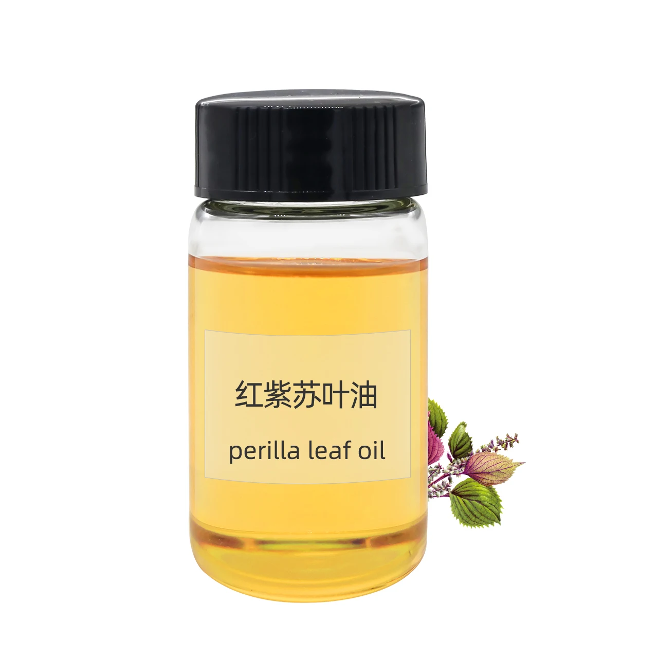 Wholesale Bulk Price 100% Natural Pure Organic Perilla Leaf Essential Oil