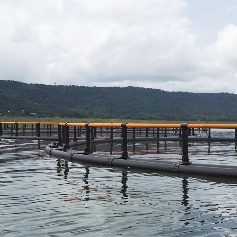 PE100 HDPE Pipes 180mm  For Deep Ocean Floating Fish Farming round Cage