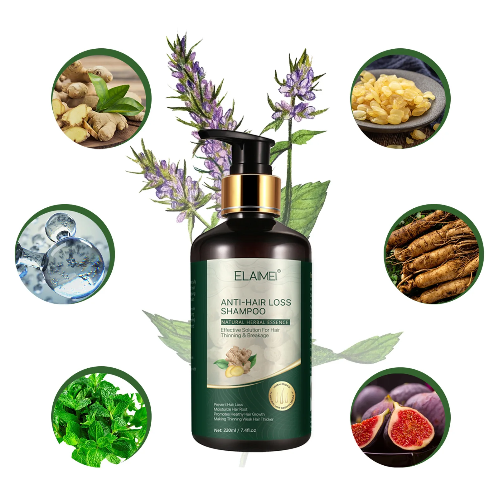 Ginger Hair Regrowth Shampoo for Women & Men Anti-Hair Loss Scalp Care Cream Treats Dry Flaky Scalp