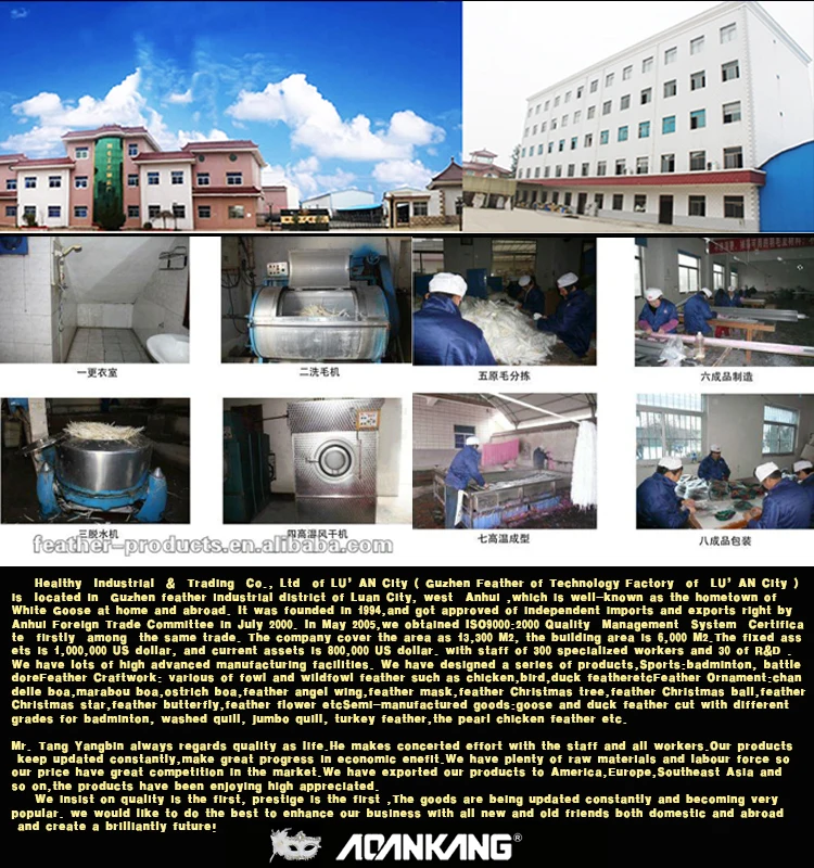 2023 Hot Sale Halloween Decoration Party Demon Angel Super Wings White Feather Wings