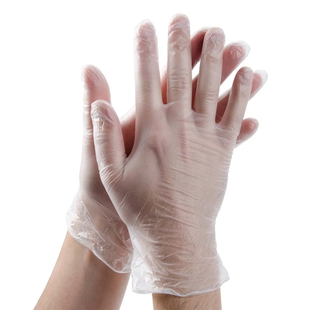 Raysen PVC Transparent Gloves Powder free Disposable Vinyl Gloves