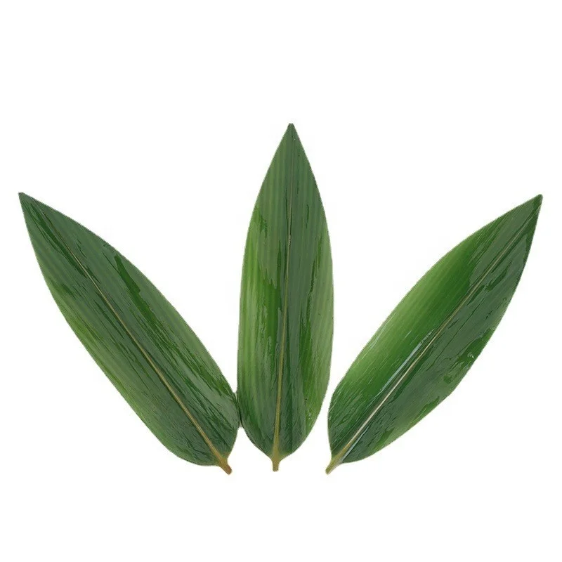 Organic Fresh Sushi Bamboo Leaves Food Decoration Barbecue Serving Tool Natural Leaf